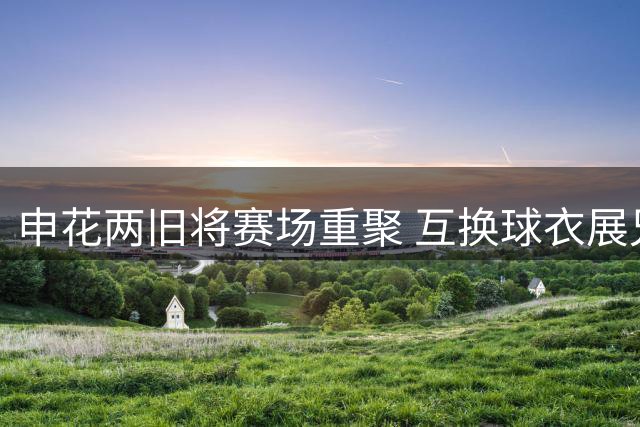 申花两旧将赛场重聚 互换球衣展兄弟情