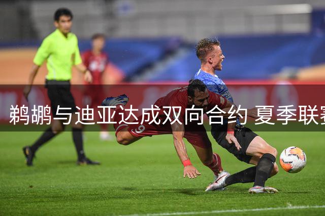 鹈鹕与迪亚达成双向合约 夏季联赛表现出众